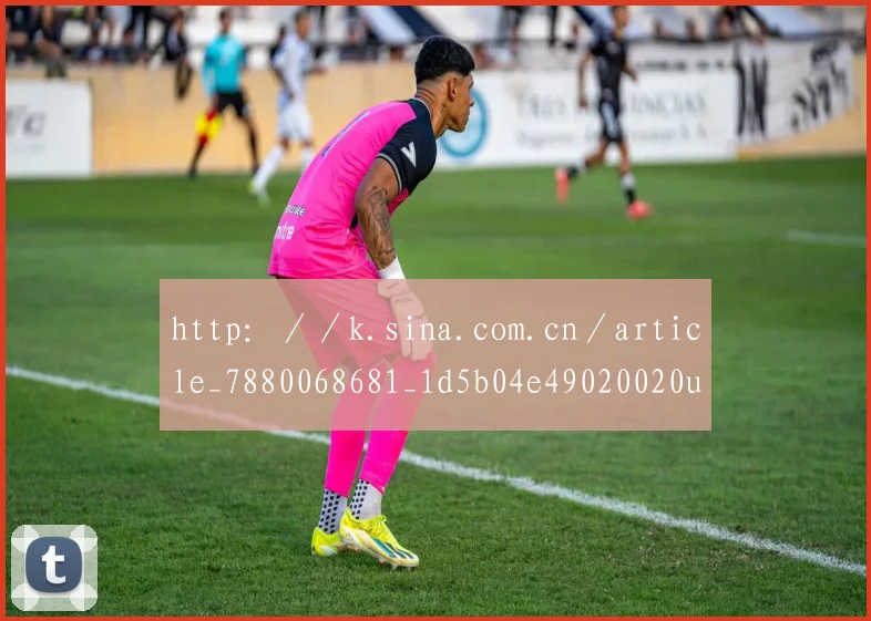 http：／／k.sina.com.cn／article_7880068681_1d5b04e49020020un4.html