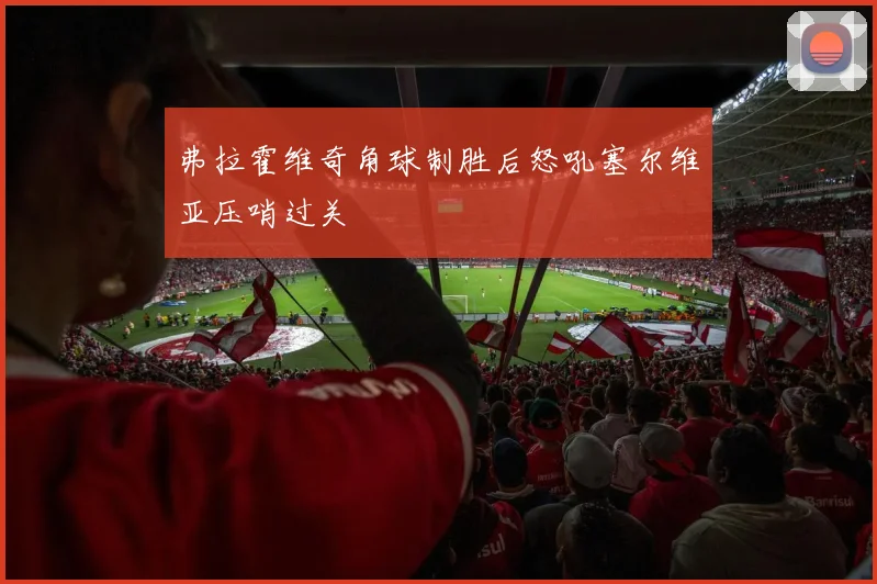 弗拉霍维奇角球制胜后怒吼塞尔维亚压哨过关