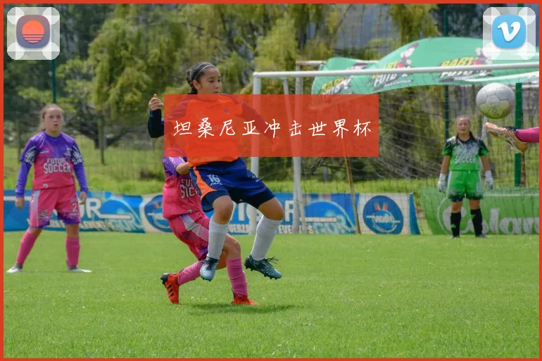 坦桑尼亚冲击世界杯