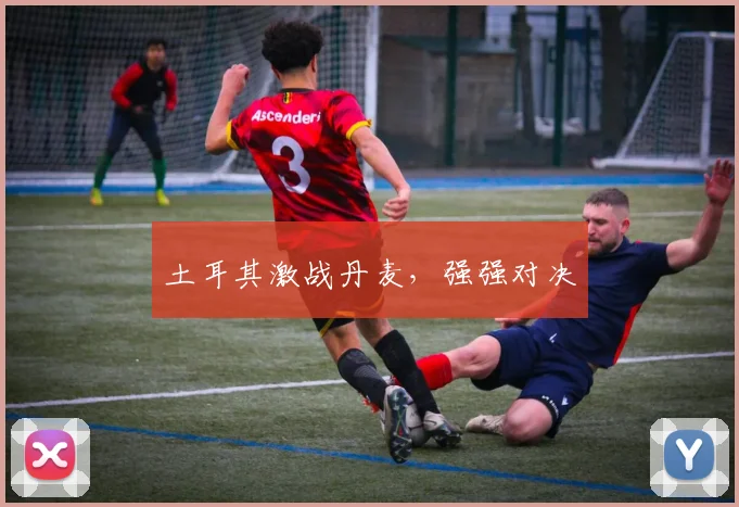 土耳其激战丹麦，强强对决