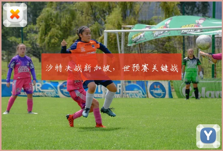 沙特决战新加坡，世预赛关键战