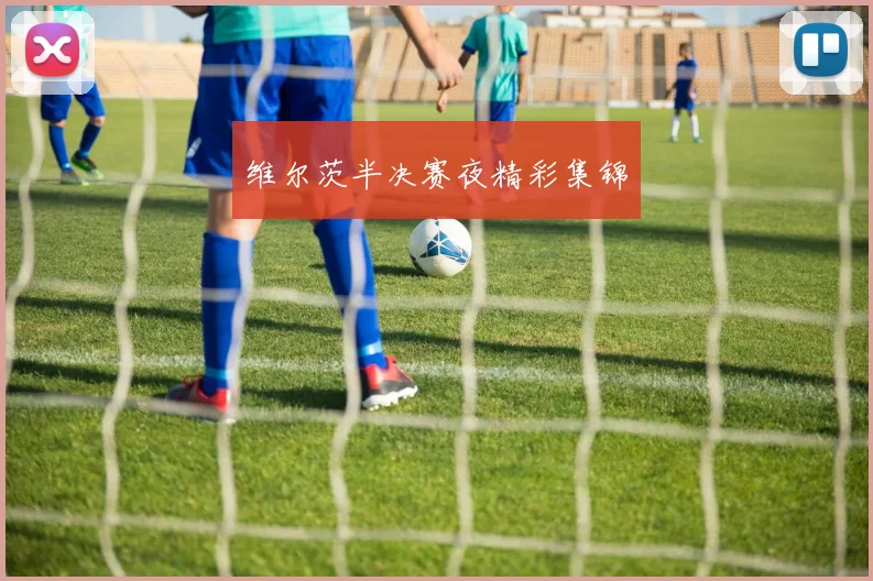 维尔茨半决赛夜精彩集锦