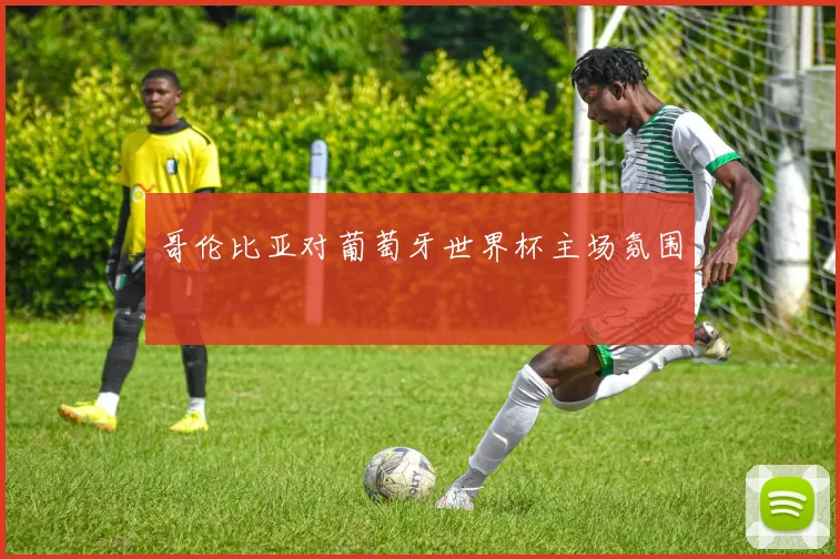 哥伦比亚对葡萄牙世界杯主场氛围