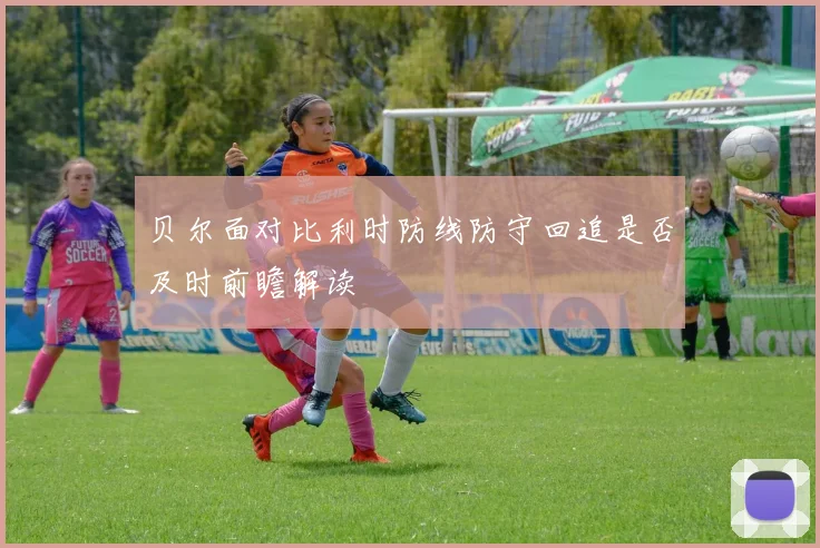 贝尔面对比利时防线防守回追是否及时前瞻解读
