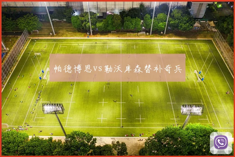帕德博恩vs勒沃库森替补奇兵