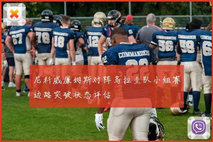 尼科威廉姆斯对阵乌拉圭队小组赛边路突破状态评估